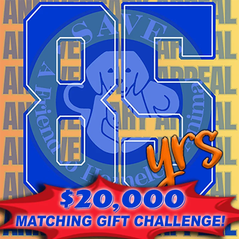 85th Anniversary Appeal — $20K Matching Gift Challenge