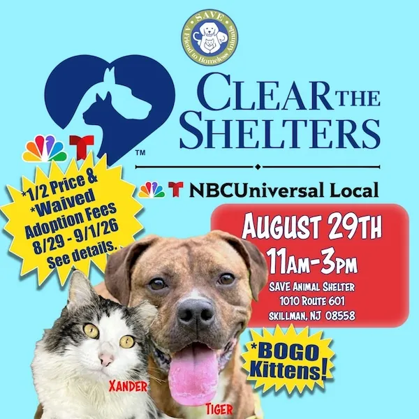 Clear the Shelters event poster featuring Xander the cat and Tiger the dog