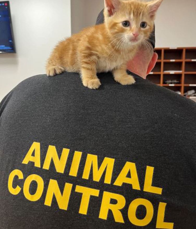 Reduced_AnimalControlOfficer_withKitten-2