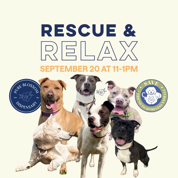 Save All The Dogs Rescue Rescue & Relax Adoption Event | SAVE Animal Shelter