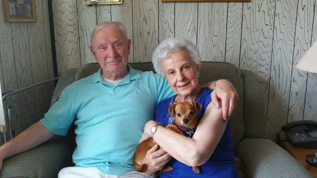 Seniors for seniors dog and cat adoption SAVE animal shelter